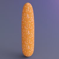 Corn-duf.jpg