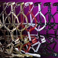 Godless8_BDSM-HOS-Promo-7.jpg