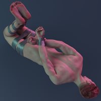 API_M5.jpg