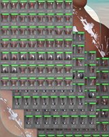 07-Collection.jpg
