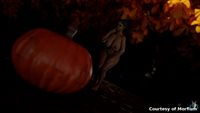 Godless8-TentaclePumpkin-promo5.jpg
