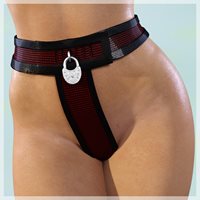 xl2_ChastityBeltGen3.jpg