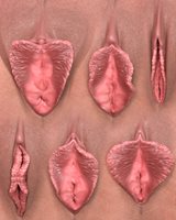 08-CZ_Shapes07.jpg