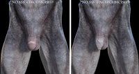 Henrika_TheCreatureAEMATs_Comparison1.jpg