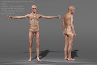 Igor_comparison.jpg