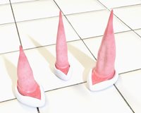 DubTH_Slippery_Fun_Img2.jpg