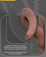 02-Rigging.jpg