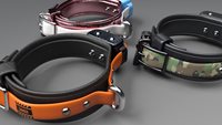vs_ShockCollar_api4.jpg