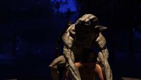 Moonlight62.jpg