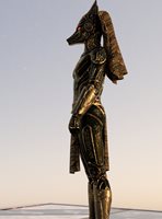 P4.jpg