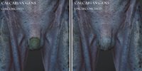Henrika_CalcarianGens_compPromo.jpg