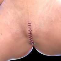 DoctorPervic-Pussy-Rings-E.jpg