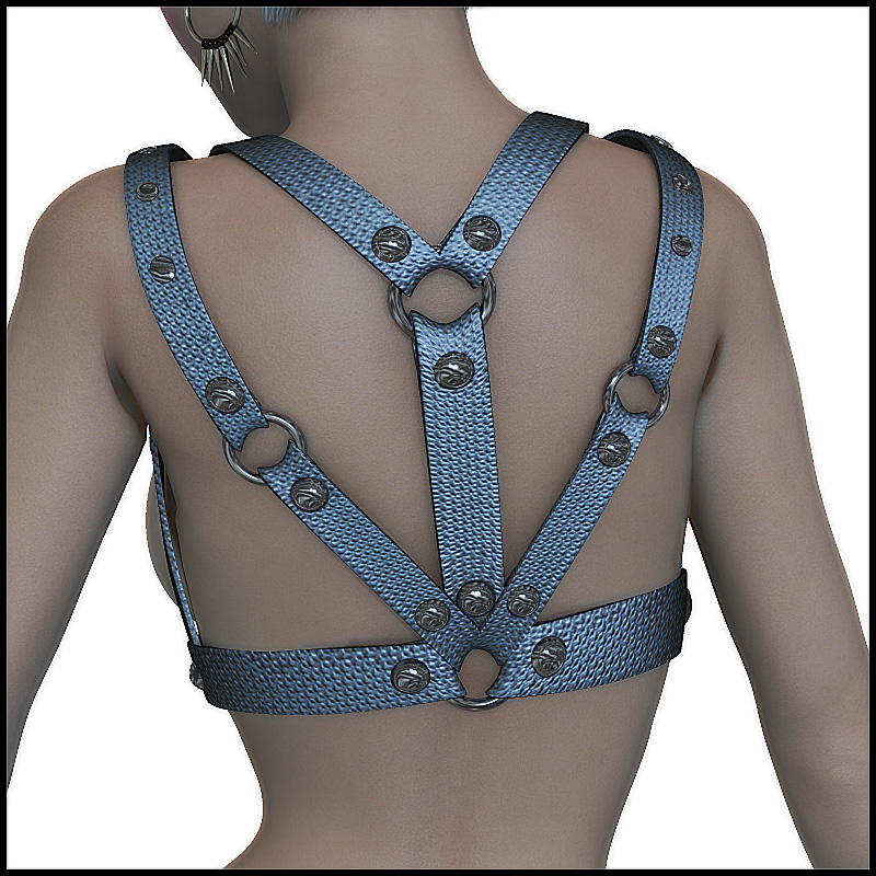 Shadow Harness V4