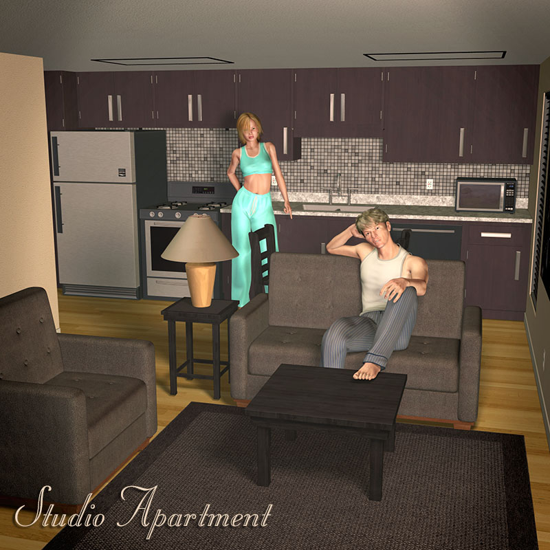 Studio Apartment