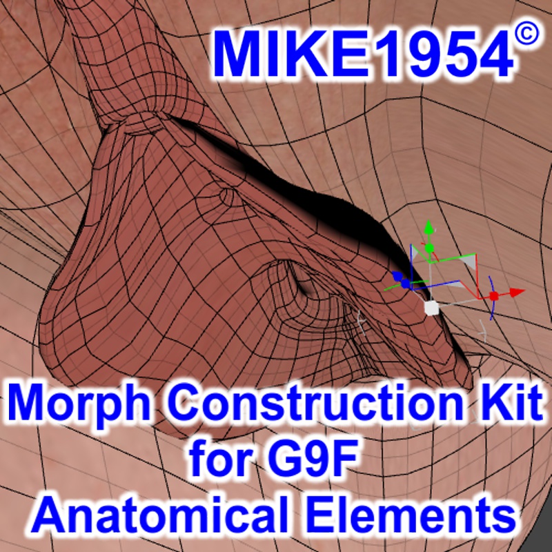 Morph Construction Kit for G9F Anatomical Elements