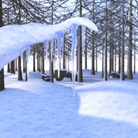 Winter Forest Set