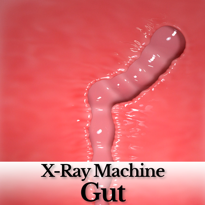 X-Ray Machine - Gut