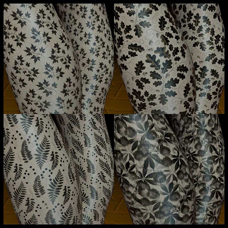 Autumn Designs DS