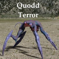 Quodd Terror
