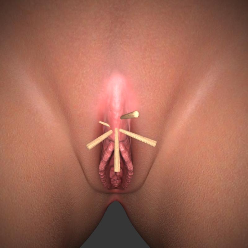 DoctorPervic Genesis 8 Pussy Stakes