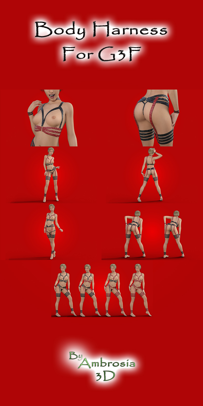 Body Harness