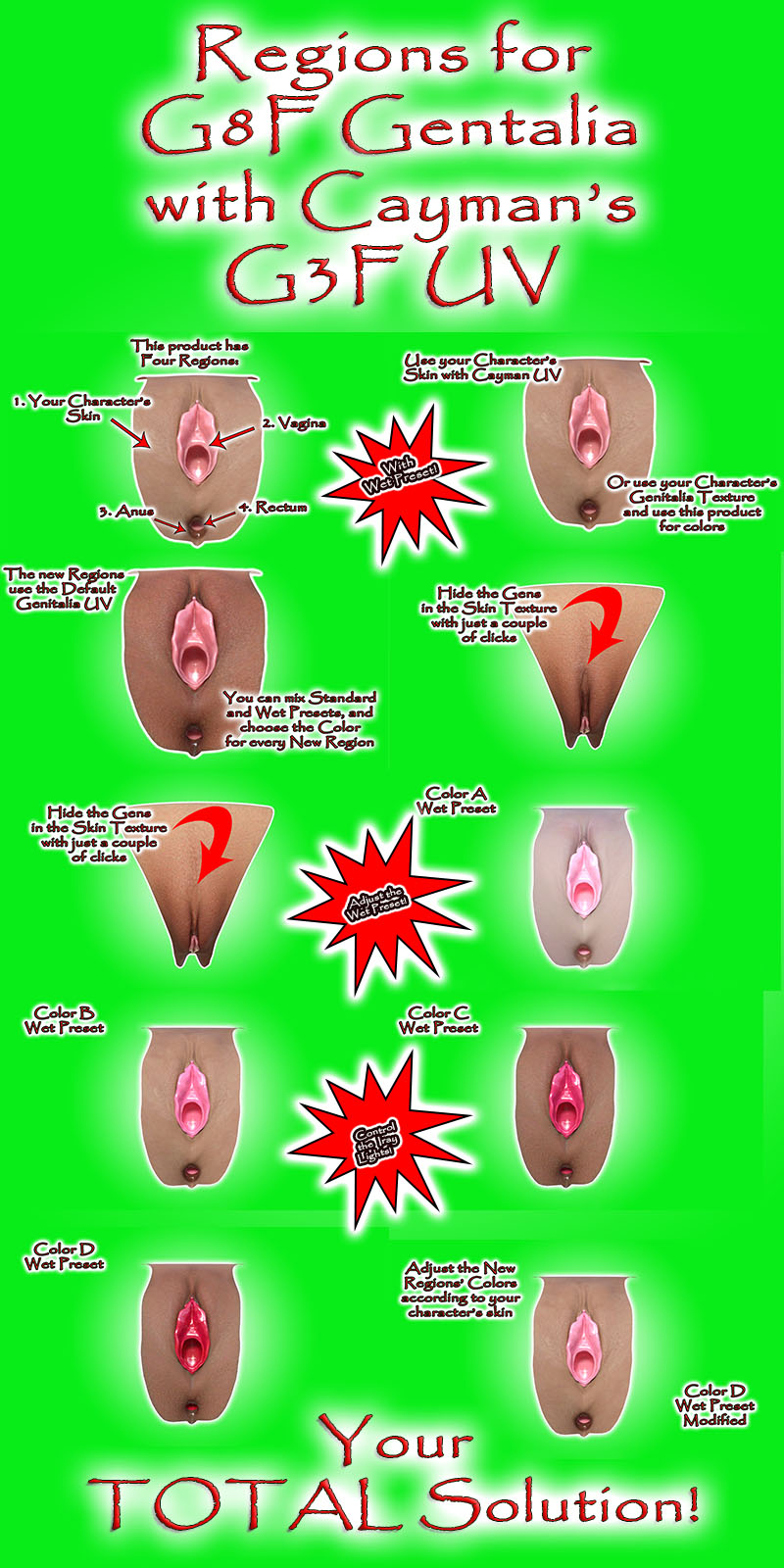 Regions For G8F Genitalia