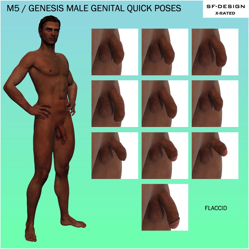 M5 Genital Quick Poses. 