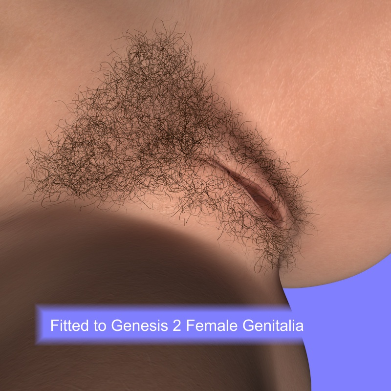 Genital Hair for Genesis 2 Female