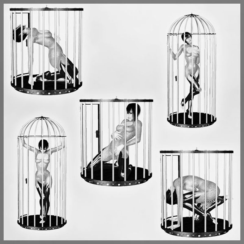 SynfulMindz' Bird in a Cage Poses V4