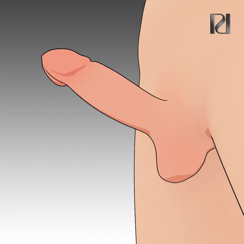 Linked Image 2