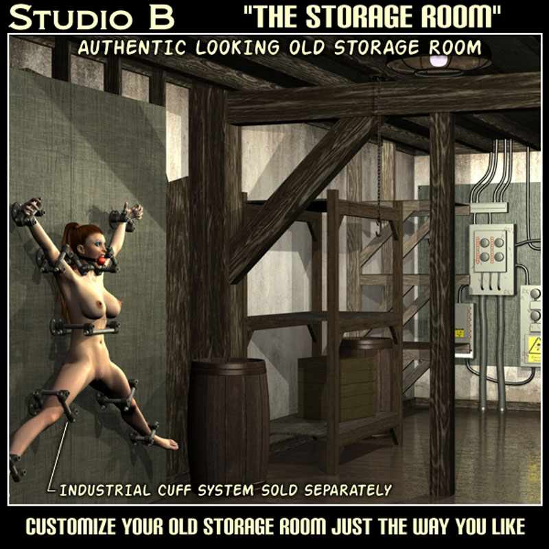 Davo's Studio B "The Storage Room"