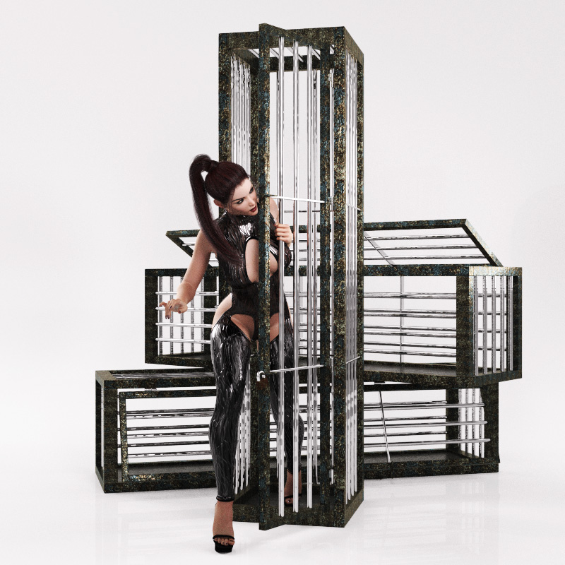 Cages DS